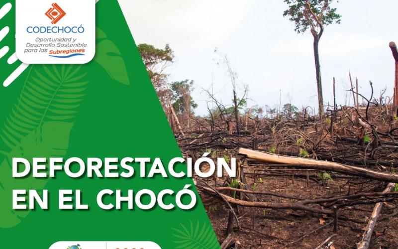Imagen de la deforestación ocurrida en el bajo Atrato Chocoano, por incendios forestales.