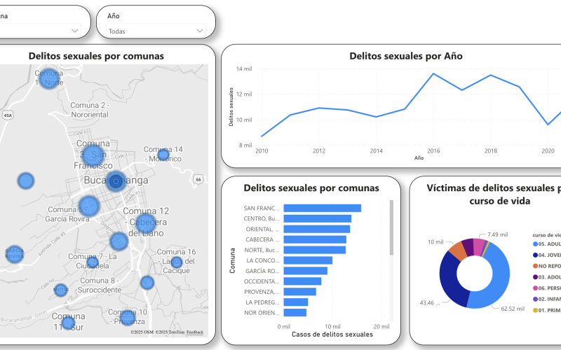 Visualización del dashboard