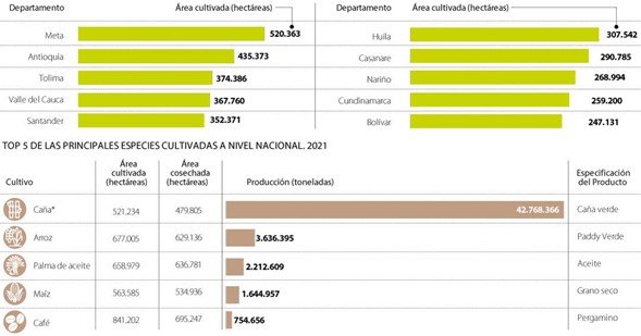 graficas areas cultivadas